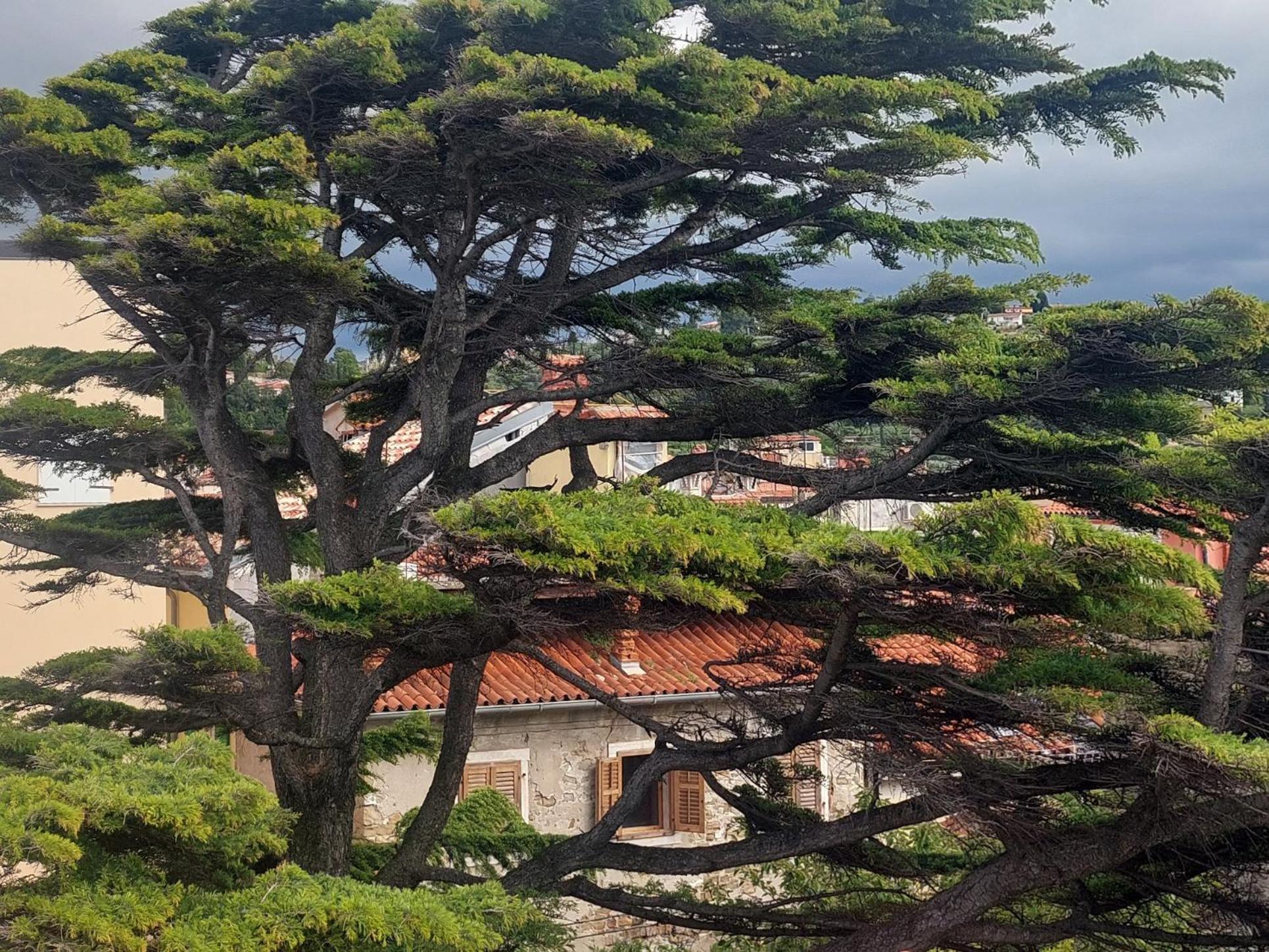Viktoria Near Beach, Tartini Square Is Peaceful, Unique And Cosy For Lgbtq,, Couples Getaway, Families & Friends * Piran